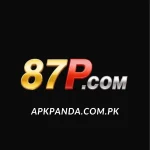 87P Game