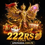 222RS Game