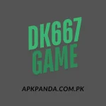 DK667 Game