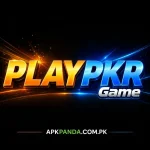 Play Pkr Game