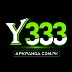 Y333 Game
